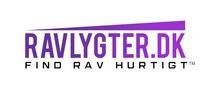 Ravlygter