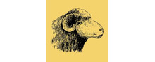 The Cozy Sheep